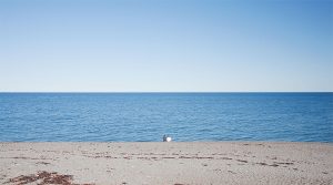 Gaspésie - Mer - Couple